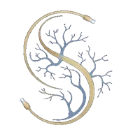 radiologia-intervencionista-profesional-en-coyoacan-cdmx