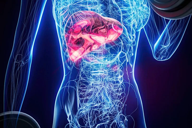 Biopsia hepática percutánea